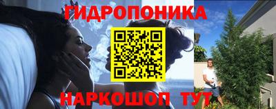 амф Бийск