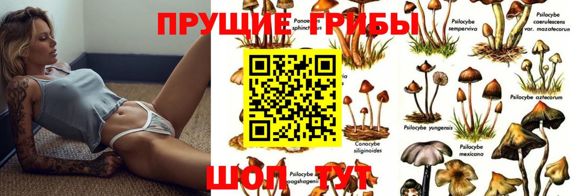 Галлюциногенные грибы Magic Shrooms Жуковский